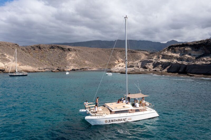 From Costa Adeje: Private Catamaran Tour With Snorkeling - Activities and Amenities