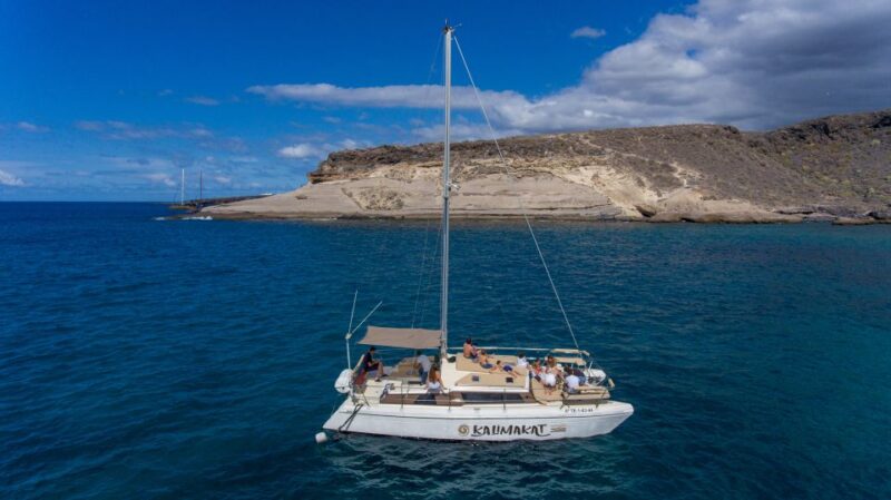 From Costa Adeje: Private Catamaran Tour With Snorkeling - Spotting Marine Wildlife