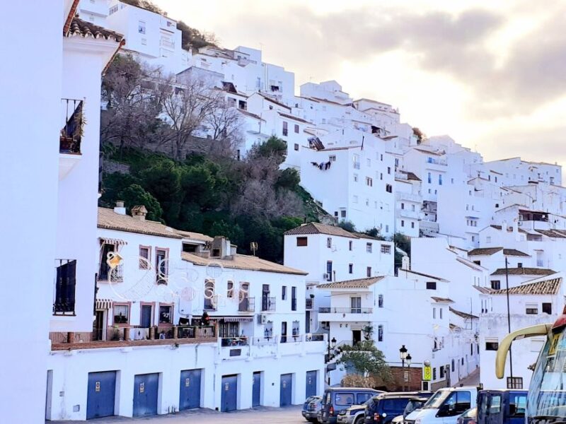 From Costa Del Sol: Casares Private Tour - Key Points