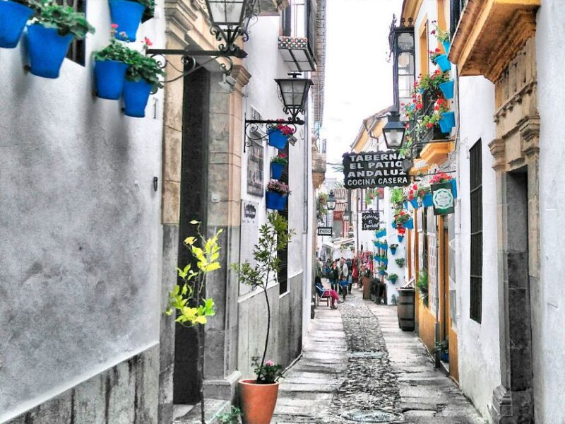 From Costa Del Sol: Day Trip to Cordoba Free Time - Exploring Cordoba