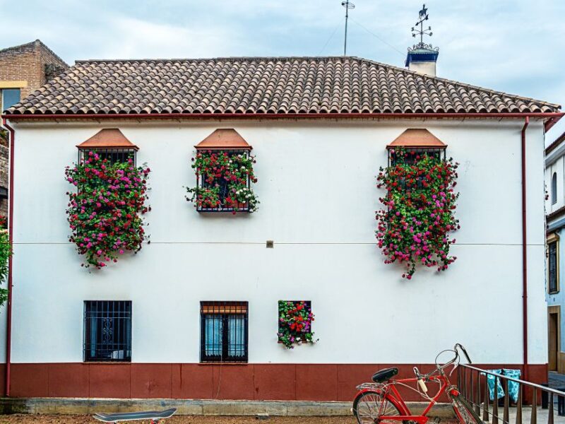 From Costa Del Sol: Day Trip to Cordoba Free Time - Key Attractions in Cordoba