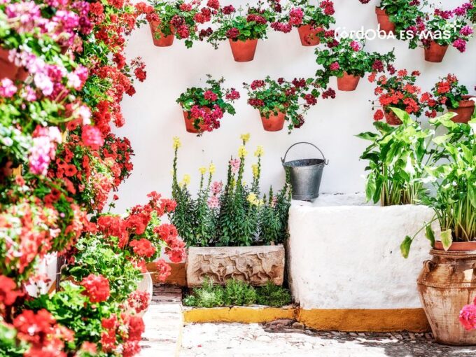 From Costa Del Sol: Day Trip to Cordoba Free Time - Frequently Asked Questions