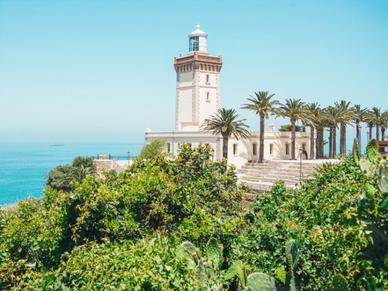 From Costa Del Sol: Discover Tangier on a Guided Day Trip - Transportation and Logistics