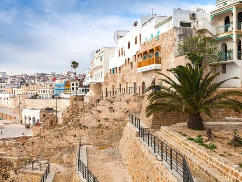 From Costa Del Sol: Discover Tangier on a Guided Day Trip - Cultural Immersion and Experiences