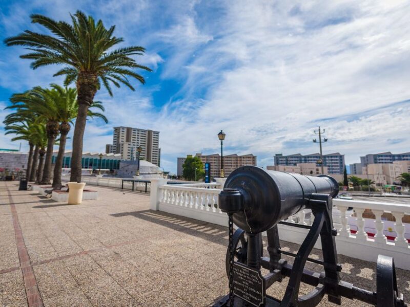 From Costa Del Sol: Gibraltar Dolphin Watching by Boat - Itinerary and Logistics