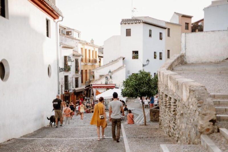 From Costa Del Sol: Granada Day Trip Free Time 5h - Itinerary and Transportation