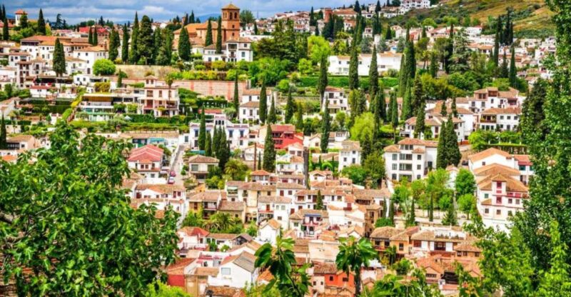 From Costa Del Sol: Granada Day Trip Free Time 5h - Highlights and Activities