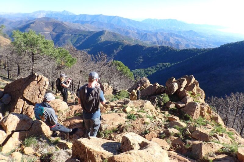 From Costa Del Sol: Sierra Bermeja Private Hiking Tour - Pickup and Drop-off