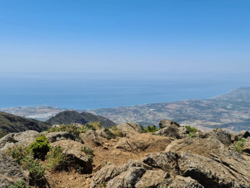 From Costa Del Sol: Sierra Bermeja Private Hiking Tour - Guided Hiking Tour