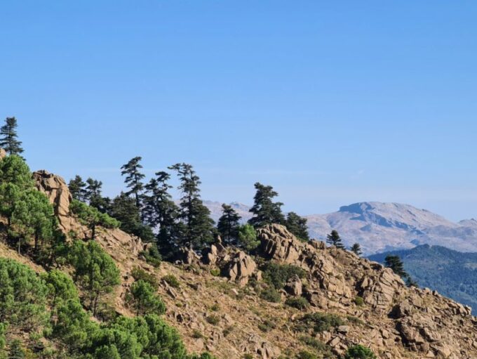 From Costa Del Sol: Sierra Bermeja Private Hiking Tour - Inclusions and Exclusions