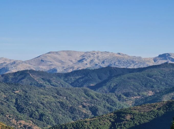 From Costa Del Sol: Sierra Bermeja Private Hiking Tour - Tour Accessibility