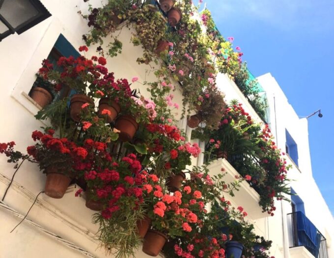 From Costa Dorada: Peñíscola and Ebro Delta Sightseeing Tour - Discovering the Charming Town of Peñíscola