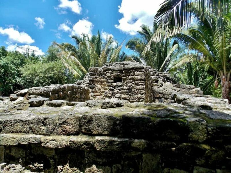 From Costa maya : mayan ruins and stop at the fruit market . - Key Points