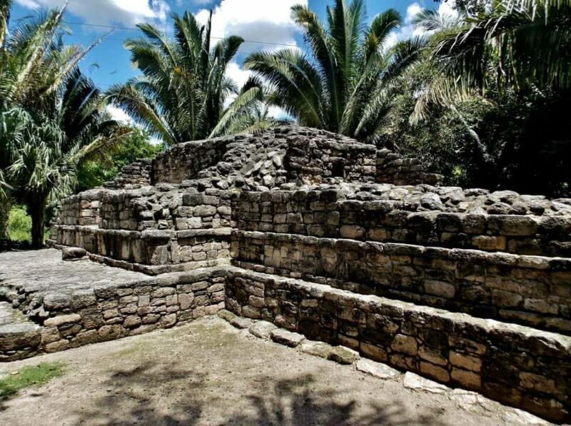 From Costa maya : mayan ruins and stop at the fruit market . - What the Reviews Say