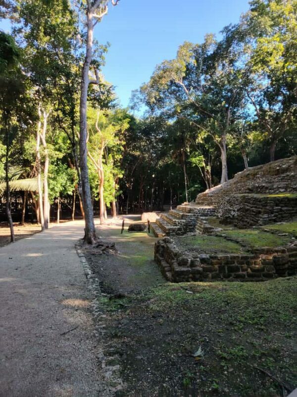 From Costa maya : mayan ruins and stop at the fruit market . - FAQ