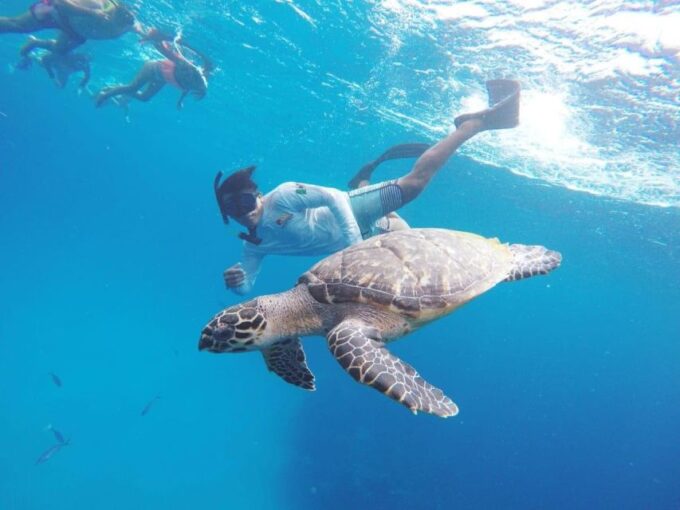From Cozumel: 3 Reefs Boat Tour With Drinks and Snorkeling - Planning Considerations