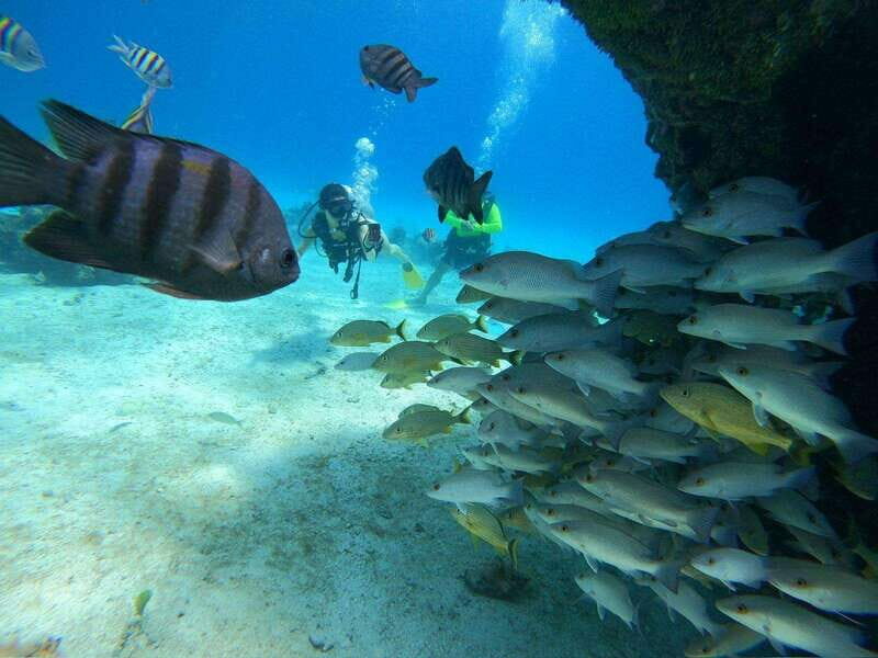 From Cozumel: Chankanaab Cozumel Scuba Diving - What to Expect: A Detailed Breakdown