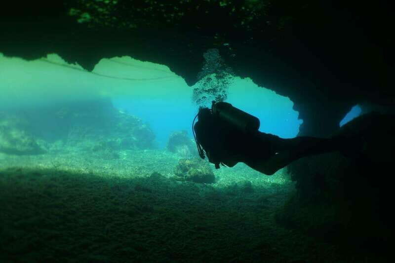 From Cozumel: Chankanaab Cozumel Scuba Diving - Practical Tips for Booking and Enjoying