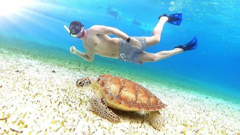 From Cozumel: El Cielo reef by Catamaran Snorkel Adventure - Practical Tips for Participants