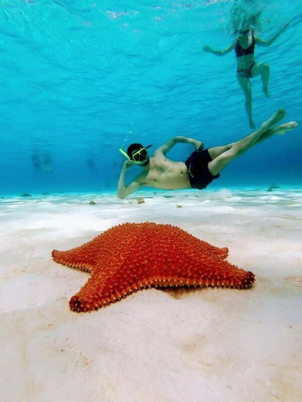 From Cozumel: El Cielo reef by Catamaran Snorkel Adventure - FAQ