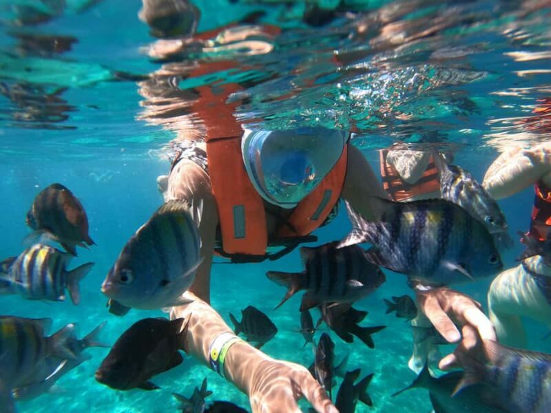 From Cozumel: Invisible Boat tour with Snorkeling - What Is This Tour All About?
