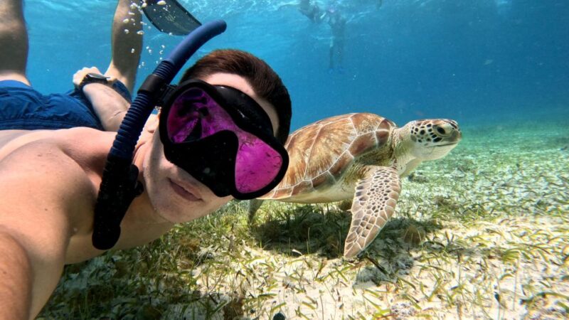 From Cozumel: Snorkel Private Charter to El Cielo & Cielito - Key Highlights of the Tour