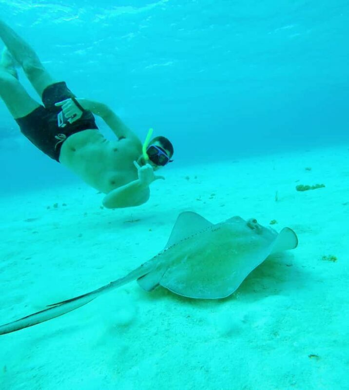 From Cozumel: Starfish, Stingrays & El Cielo Beach Snorkel - Key Points