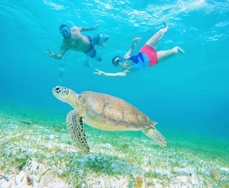 From Cozumel: Starfish, Stingrays & El Cielo Beach Snorkel - Who Should Consider This Tour?