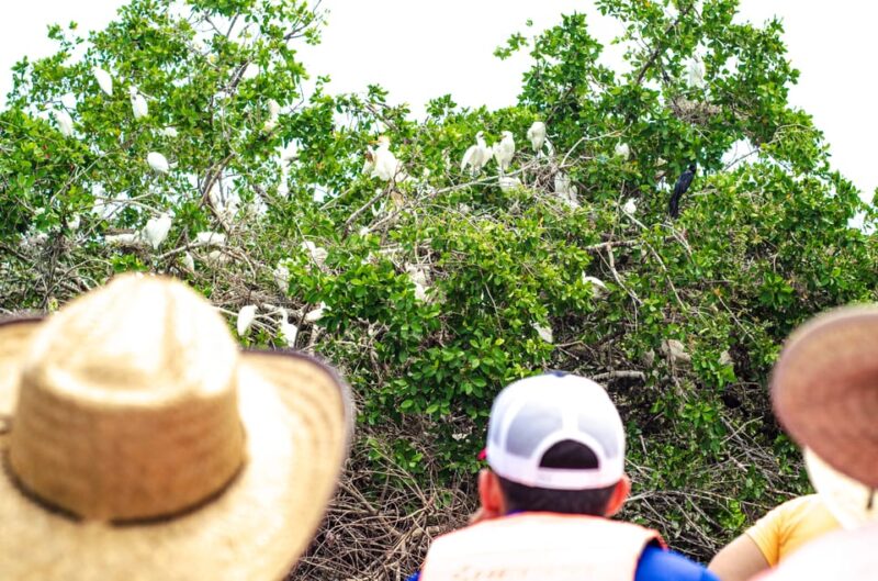From Crucecita: Ventanilla, Zipolite, and Puerto Ángel Tour - Customer Experience and Feedback
