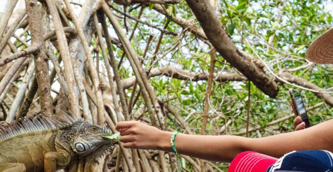 From Crucecita: Ventanilla, Zipolite, and Puerto Ángel Tour - Regional Cuisine in Puerto Ángel