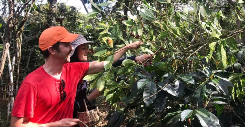 From Cusco: 2-Day Chocolate or Coffee Farm Tour to Huayopata - Inclusions