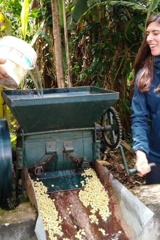From Cusco: 2-Day Chocolate or Coffee Farm Tour to Huayopata - Meals and Dining