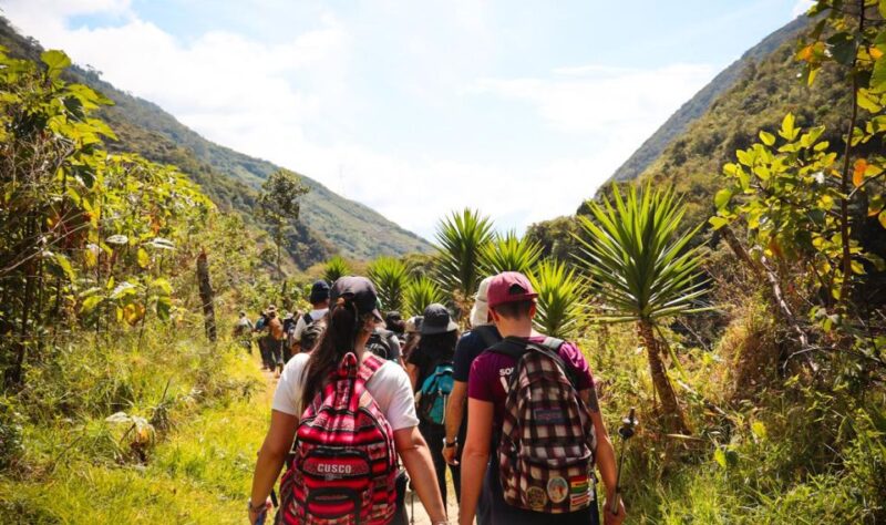 From Cusco: 2-Day Machu Picchu Budget Tour by Minivan - Machu Picchu Circuit Options