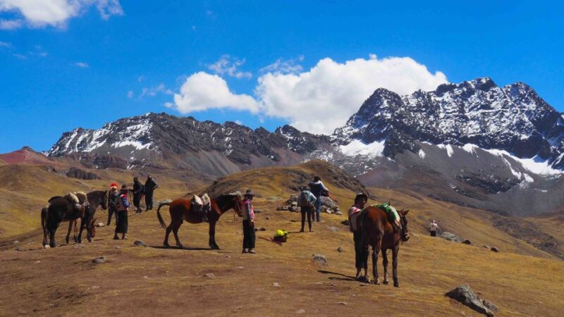 From Cusco: 5-Day Journey of Colors to Machu Picchu - Key Points