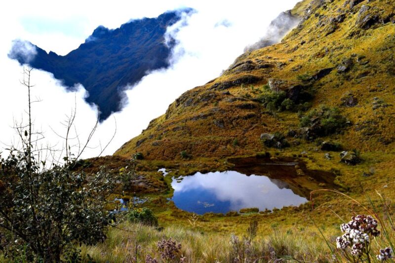From Cusco: 7-Day Trek to Machu Picchu Through Inca Trail - Exploring Cuscos Colonial Sites