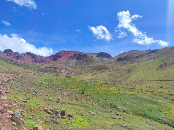 From Cusco: Adventure to Rainbow Mountain(ATV) - Breakfast and Lunch
