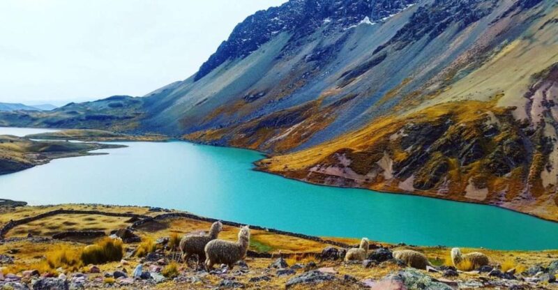 From Cusco: Ausangate 7 Lagoons Tour 1 Day. - Inclusions and Exclusions