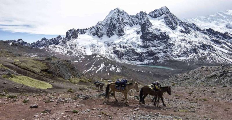 From Cusco: Ausangate Route - 7 Lagoons Tour + Meals - Itinerary and Experience