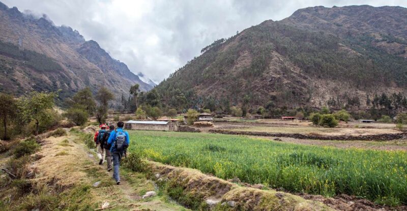 From Cusco: Choquechaca and Pumamarca Private Full-Day Hike - Key Points