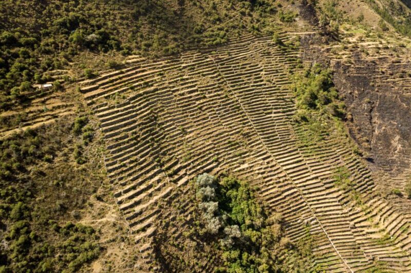 From Cusco: Choquechaca and Pumamarca Private Full-Day Hike - Tour Details