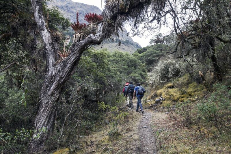 From Cusco: Choquechaca and Pumamarca Private Full-Day Hike - Requirements and Restrictions
