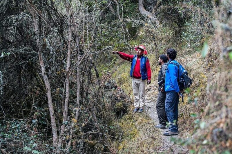 From Cusco: Choquechaca and Pumamarca Private Full-Day Hike - Pricing and Reservations