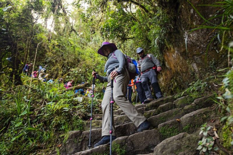 From Cusco: Classic Inca Trail 4-days to Machu Picchu - Traveler Reviews