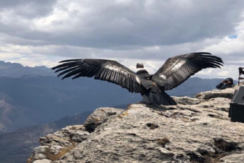 From Cusco: Cusco Machu Picchu Luxury Tour - Luxury Travel Experience