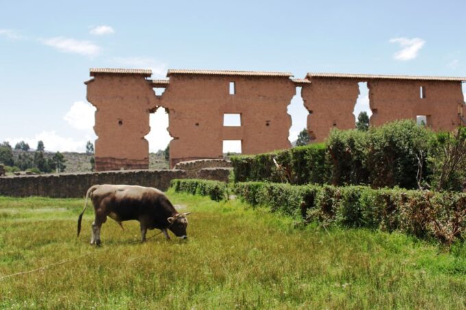 From Cusco: Cusco to Puno Shuttle & Guided Tour W/Box Lunch - Departure and Drop-off Locations