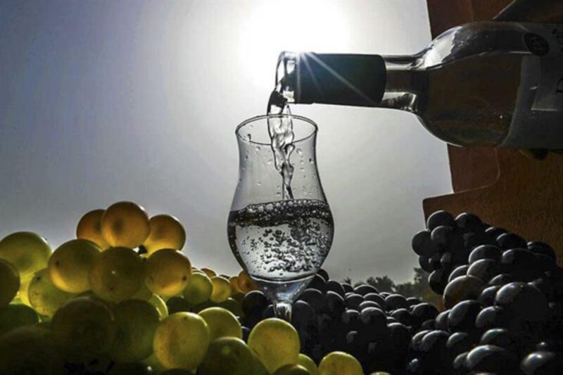From Cusco: Delight Your Palate With a Delicious Pisco Tour - Pisco Punch and Appetizer