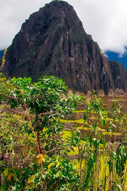 From Cusco: Discovery Machu Picchu | 1 Day | Vistadome Train - Itinerary Details