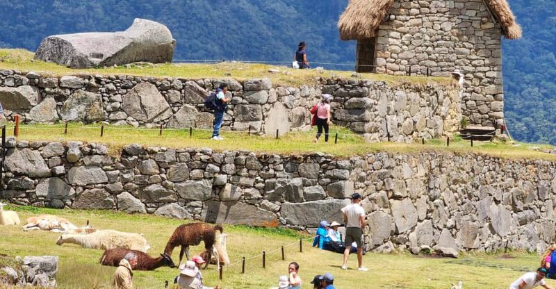 From Cusco: Full-Day All-Inclusive Tour Machu Picchu - Key Points