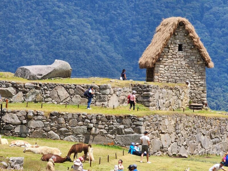 From Cusco: Full-Day All-Inclusive Tour Machu Picchu - Itinerary and Experience
