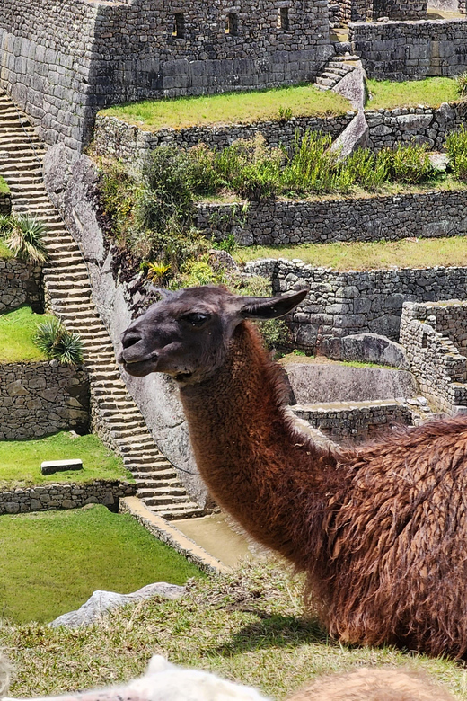 From Cusco: Full-Day All-Inclusive Tour Machu Picchu - Preparation and What to Bring